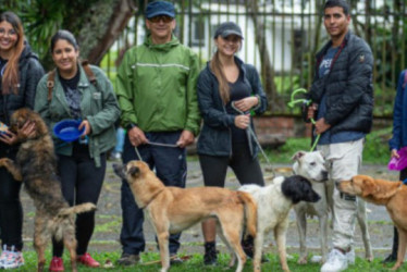 Desde la Alcaldía de Manizales se han realizado varias jornadas en busca de que la comunidad adopte animales como perros y gatos. 