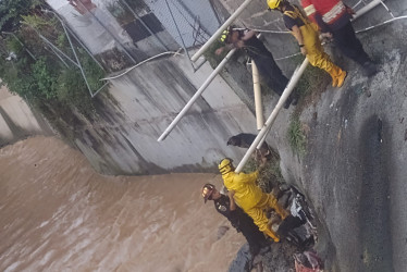 10 socorristas debieron formar una cadena humana para rescatar al perro que estuvo cerca de caer al agua.