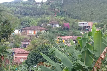 Foto | Cortesía | LA PATRIA   Las Fiestas de San Pedro se realizaron en Anserma. 