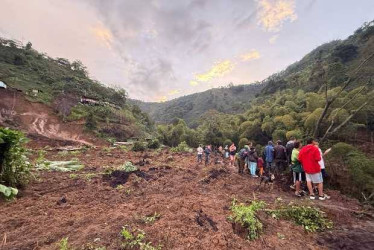 Un jalón de orejas al Gobierno naciona