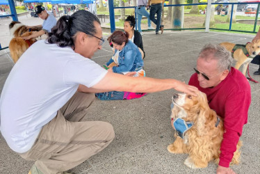  Los participantes siguieron las instrucciones en el Día Internacional del Yoga.