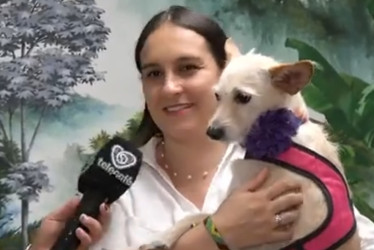 ¿Hospital público veterinario en el Quindío? Esto dice la diputada Aristizábal