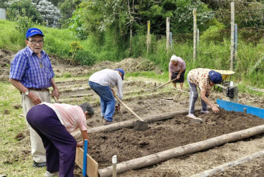 Los adultos mayores trabajando en la huerta del Centro Vida del barrio Aranjuez. 