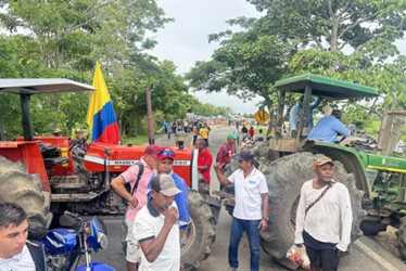 Los cultivadores del cereal bloquean vías en Tolima, Huila, Córdoba y Casanare. 