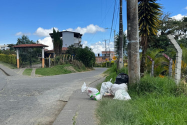 Las basuras en la avenida El Libertador. 
