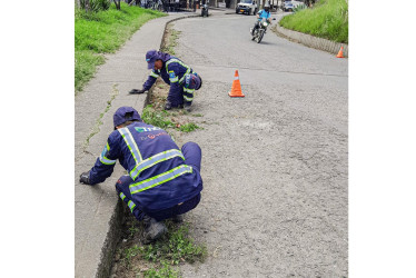 Los funcionarios de Emas durante la intervención en Anserma.