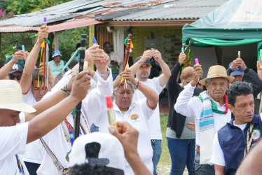 Participaron 91 miembros de las comunidades indígenas. 