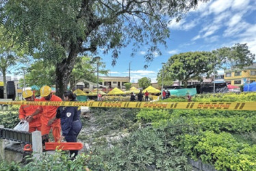 Susto con el tronco Foto | Facebook Alcaldía | LA PATRIA