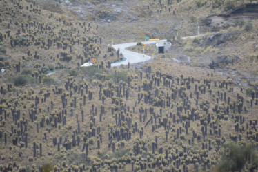 La restricción aplica todo el día y se inicia desde el sector de La Esperanza (Manizales) hasta Murillo (Tolima).