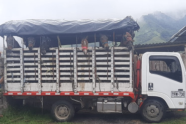 Cinco sujetos con armas de fuego serían los autores del robo del camión en Neira.
