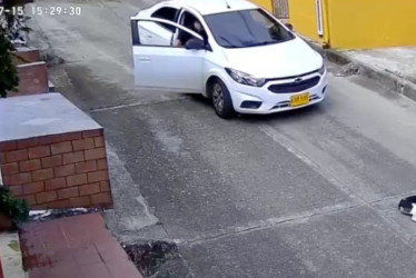 En el vídeo se logra apreciar como el conductor, después de encender el vehículo, avanza varios metros y le pasa por encima al animal en Guática Risaralda. 