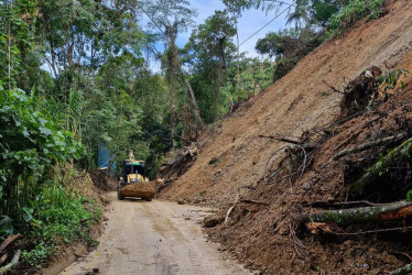 Hay 17 vías con pasos restringidos o cierres en Caldas este miércoles (30 de julio). Despejan un derrumbe de una carretera con tres puntos críticos.