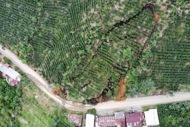 La vía San José - Viterbo, en Caldas, volvió a recibir vehículos tras casi un mes de cierre. Remueven el derrumbe. Hay tres familias desplazadas por el riesgo.