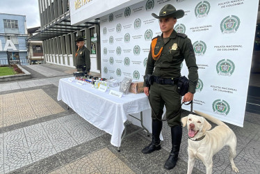 El perro Axel detectó cuatro encomiendas en las que se transportaban sustancias ilegales.
