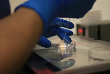 Análisis de laboratorio