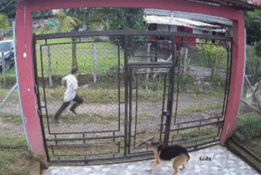 El hombre persiguió a la menor por la vereda.