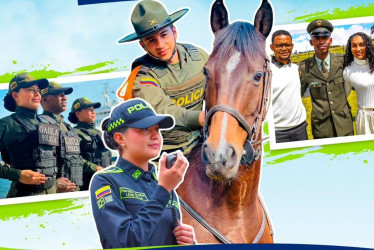 Debe se colombiano de nacimiento, no haber sido condenado penalmente, ni estar vinculado formalmente a investigaciones por violaciones a Derechos Humanos