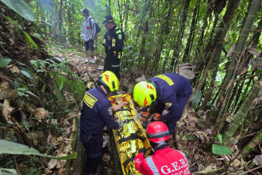 GER y Bomberos, con apoyo de Policía, estuvieron en el rescate.