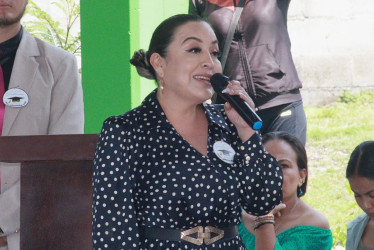 Alcaldesa mexicana Rosa Elia Milán Pintor sufrió un ataque este domingo (13 de julio). 