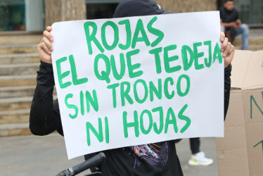 Este tipo de mensajes se pudieron leer durante el plantón en rechazo de la tala de árboles en Manizales. 