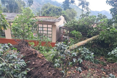 El vendaval en la madrugada de ayer tumbó árboles que cayeron encima de la escuela de la vereda Altomira, de San José.