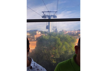 Así se veían los árboles antes de la poda.