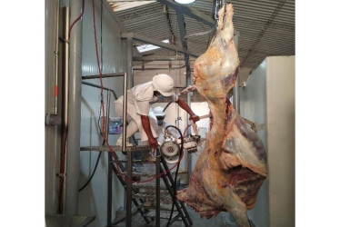 Las operaciones en la llanta sacrificio animal de Marquetalia (Caldas) están siendo investigadas por posibles irregularidades.