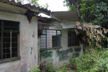 Insectos y maleza habitan lo que fue la escuela Costa Rica, sede de la Institución Educativa Rancho Largo, de Samaná.