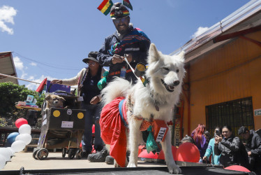 Personas participan en un desfile canino en La Paz (Bolivia). Decenas de perros de distintas razas, tamaños y colores lucieron creativos disfraces en una pasarela para promover la tenencia responsable de mascotas y evitar el abandono, sobre todo por motivos de viaje. 