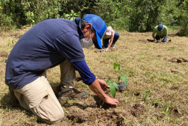 Alcaldía de Manizales lidera ambicioso plan de sostenibilidad con impacto urbano y rural