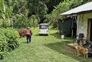 Cinco personas terminaron picadas por las abejas, y a dos debieron trasladarlas al hospital.