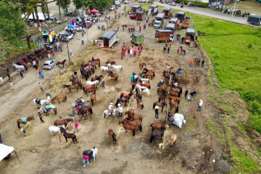 Roberto Jiménez, alcalde de Dosquebradas, dio tres recomendaciones a los asistentes a la cabalgata antes de empezar.