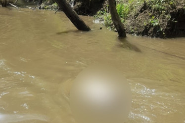 El hallazgo del cuerpo desmembrado y decapitado se dio en el sector conocido como El Cinco de La Virginia, el lunes 18 de agosto 