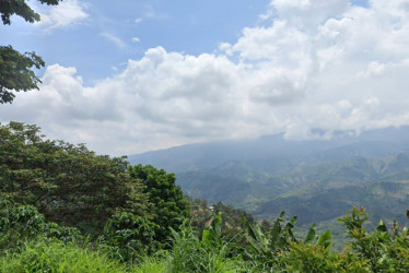 Las autoridades de Belén de Umbría (Risaralda) confirmaron el hallazgo de dos cuerpos sin vida en la vereda La Frijolera Alta, serían miembros del Clan del Golfo