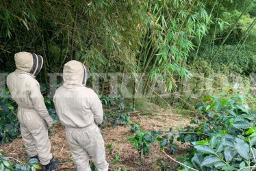 Dos personas que presenciaron el ataque intentaron socorrer al señor, pero murió en el lugar.