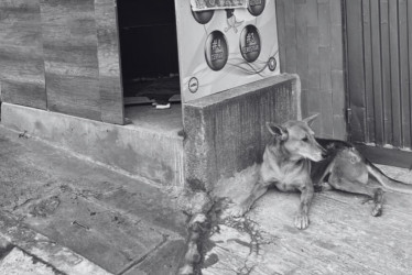 Los hechos ocurrieron el pasado sábado 23 de agosto en la carrera 17 con calle 2ª, en el barrio La Enseñanza de Pereira 