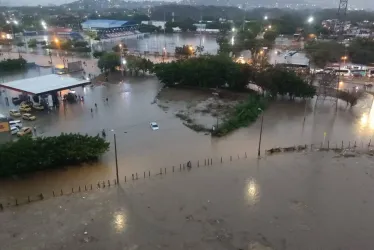 Carlos Pinedo Cuello