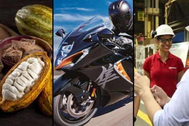 13 sectores económicos son los colosos del Eje Cafetero: cada uno superó ingresos de $1 billón en el 2024. Este es el listado de las 22 actividades más grandes de la región.