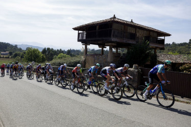 El pelotón durante la decimocuarta etapa de la Vuelta ciclista a España que se disputa este sábado sobre 135,9 kilómetros