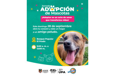La jornada de adopción será este domingo 28 de septiembre. 