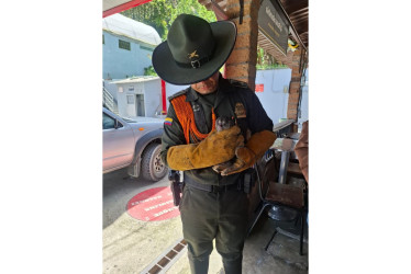 15 animales fueron liberados en su hábitat natural tras recuperación. 3 especies vulnerables fueron rescatadas para su rehabilitación.