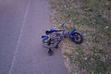 La familia caminaba por un lado de la vía.