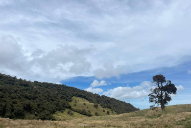 El programa tiene como objetivo reconocer proyectos que den respuesta a los retos ambientales locales. 