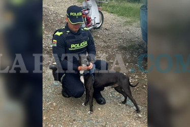 Un video captó la agresión que sufrió Rocky, lo que provocó las protestas de la comunidad.