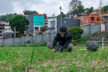 Esta es la nueva cara que empieza a mostrar el estadio Ricardo Tito González, de Anserma (Caldas).