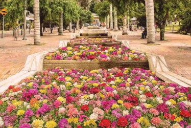 La acción performática, llamada 'Canto del río', cubrió de coloridas flores colombianas el Eje Ambienta