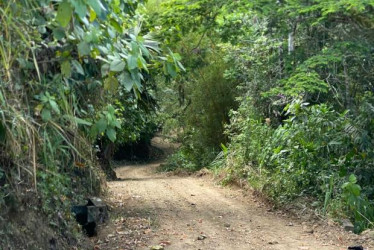 Fotos I Facebook alcaldías I LA PATRIA  En el Alto Occidente de Caldas invierten en recuperación de dos carreteras. En un municipio inauguran obras y sala del hospital y otro anuncia gas domiciliario.