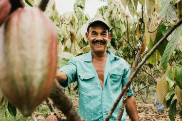 Así les fue a las tres grandes compañías que conforman el sector de elaboración de cacao, chocolate y productos de confitería en Caldas durante el 2024. Cifras astronómicas.