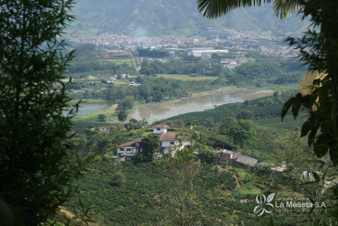 El precio del café contagió de buenos momentos a las compañías que trillan el grano en Caldas. Un empresario revela las claves del auge del 2024.