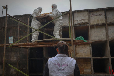 Estas recuperaciones se adelantaron como resultado del relacionamiento interinstitucional en Calamar con la Alcaldía Municipal y en San José del Guaviare con la JEP.